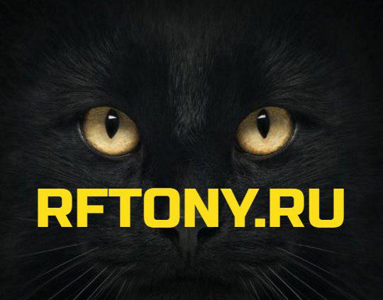 Предложение Менеджер Улаленная работа RFTony. ru