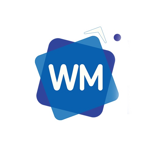 WebMaster  Создание и продвижение сайтов