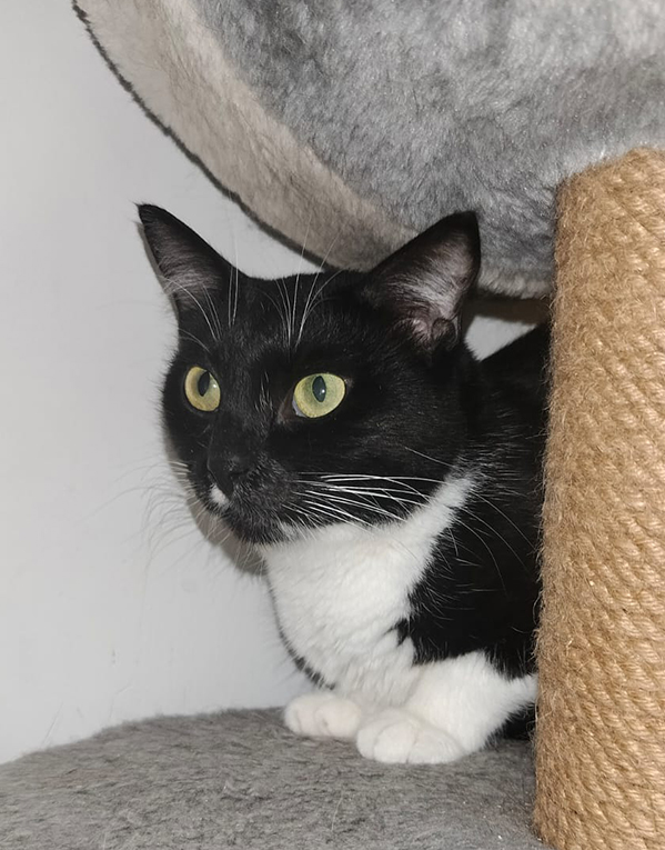 ������� ���� ���� ���.