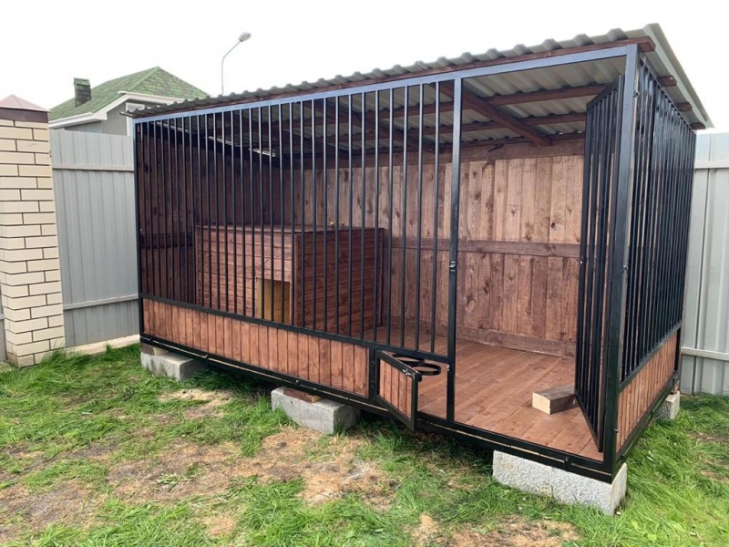 ������ ��� ������ �������