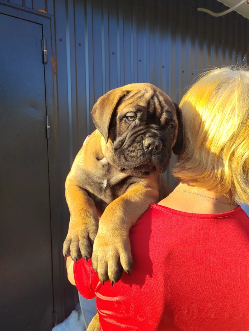 ����� �����������