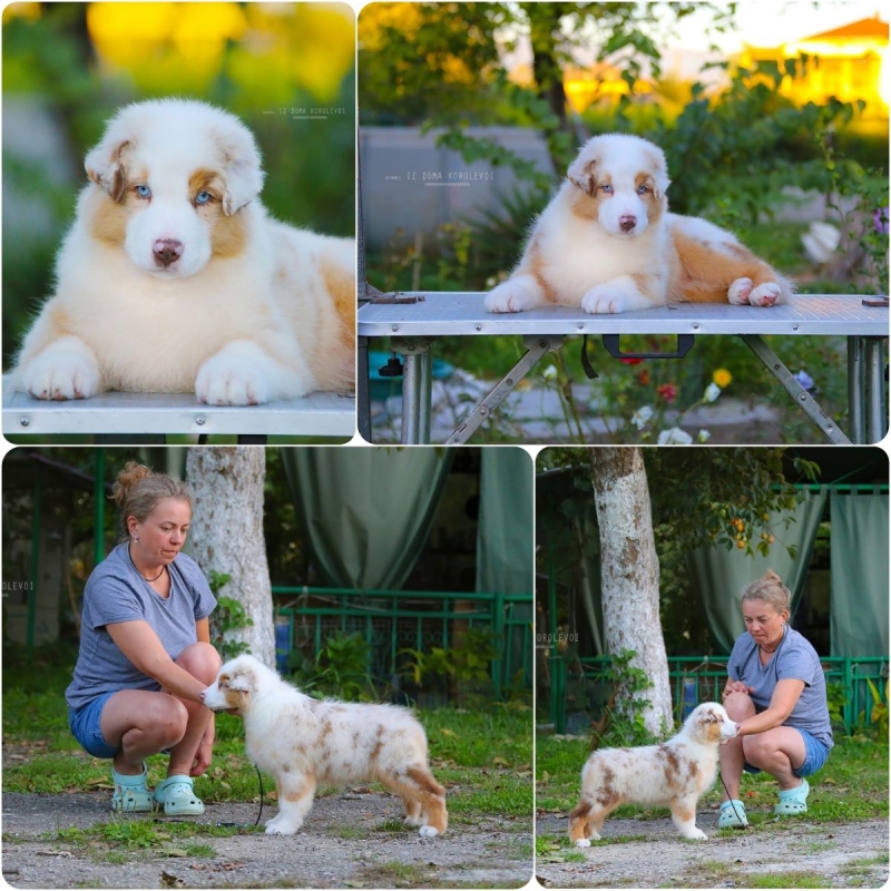 ����� ������������� �������-����� �� ��������� ���