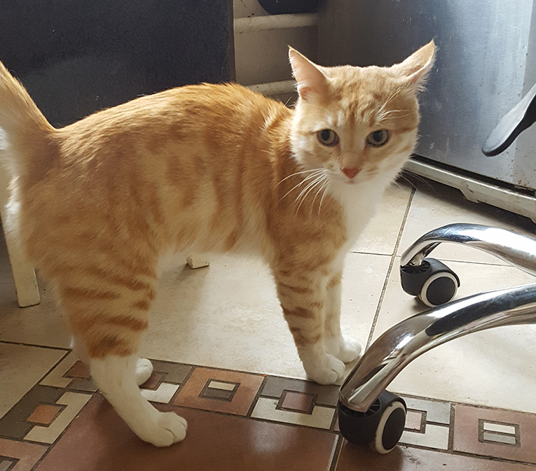 ���������� �������� ������� ������ � ������ ����