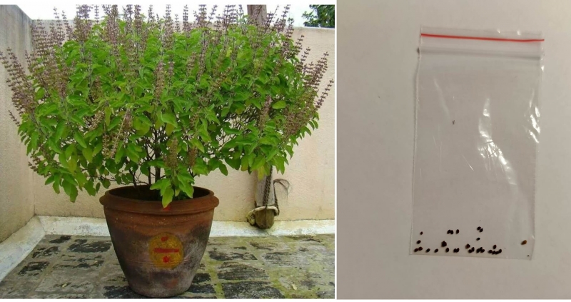 ������ ������, � ��������, ��� ����������� ����.