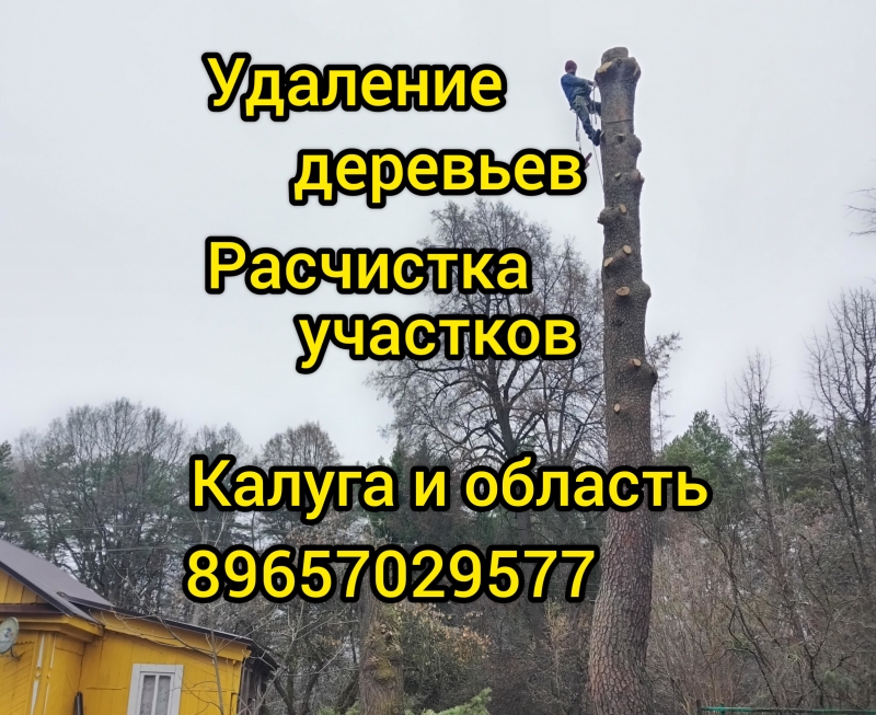 ���� ������� �������� ��������� ������� ������