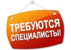 Требуются авторы