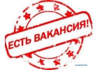 Приглашаем авторов-исполнителей по написанию студенческих работ