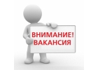Приглашаем к сотрудничеству авторов