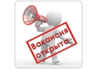 Работа для красивых девушек