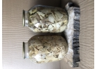 Грибы соленые маринованные